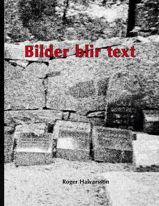 Knjiga Bilder blir text 