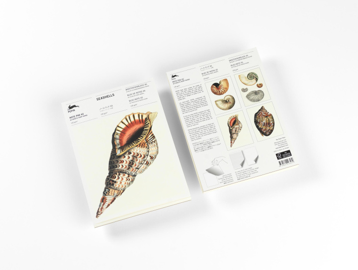 Igra/Igrača Seashells Pepin van Roojen