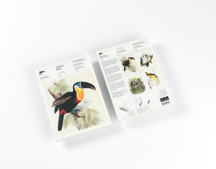 Hra/Hračka Tropical Birds Pepin van Roojen
