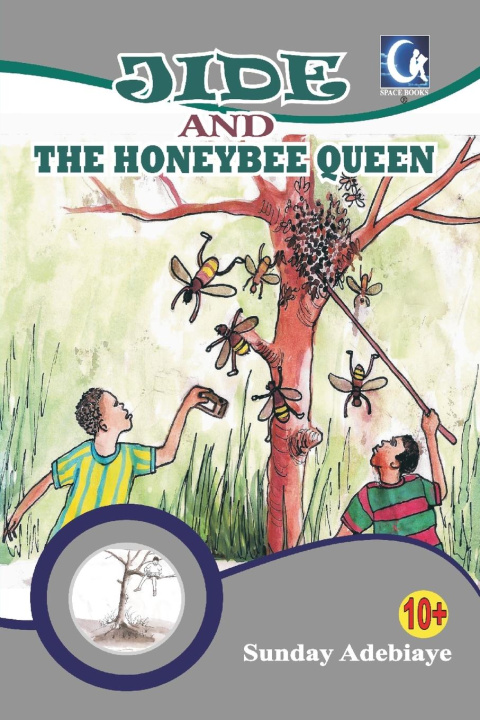 Kniha Jide and the honeybee queen 