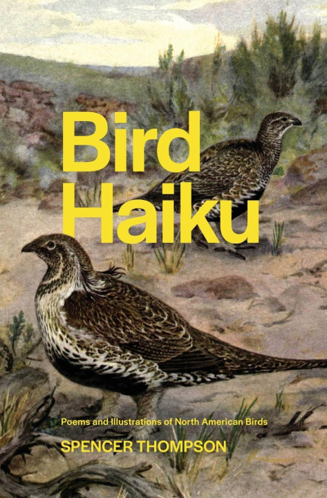 Kniha Bird Haiku 