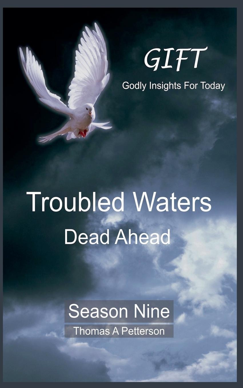 Kniha Troubled Waters Dead Ahead Thomas A. Petterson