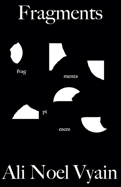 Buch Fragments Ali Noel Vyain
