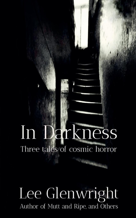 Kniha In Darkness 