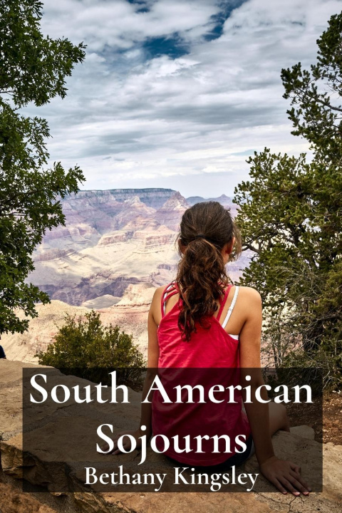 Buch South American Sojourns 