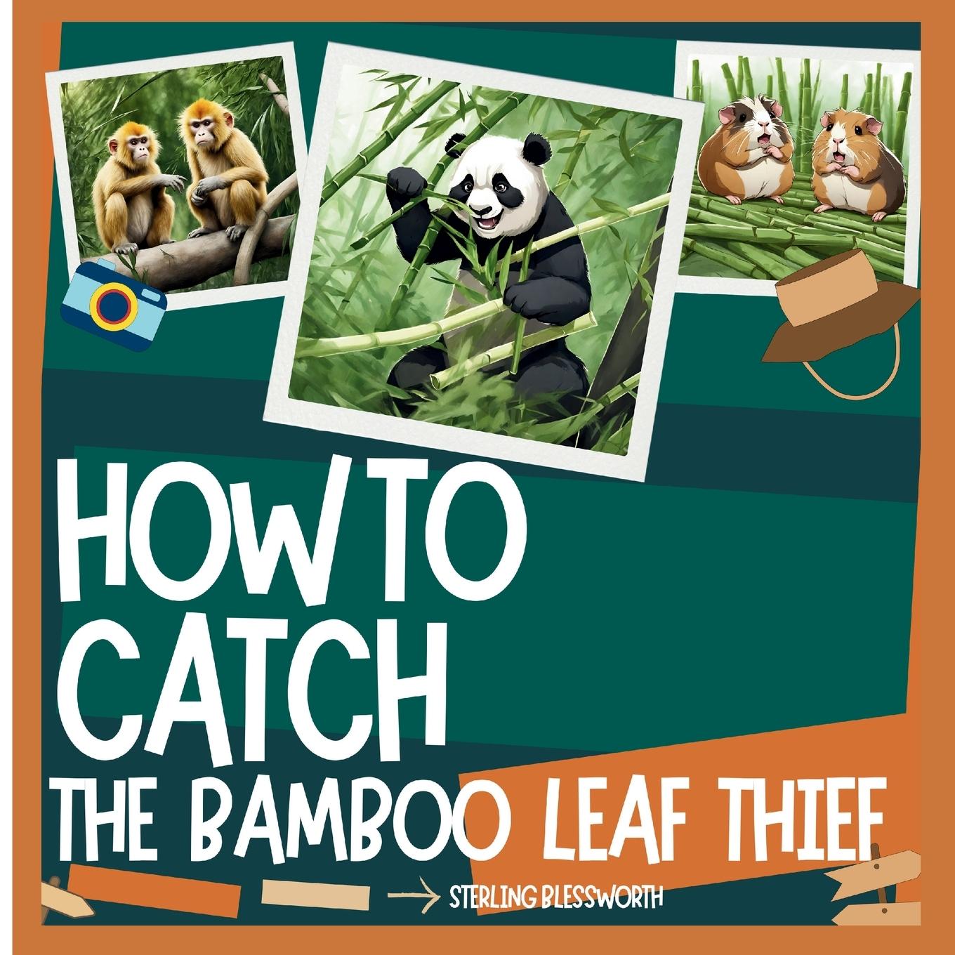 Kniha HOW TO CATCH 