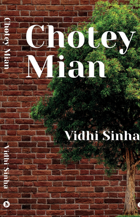 Kniha Chotey Mian Vidhi Sinha