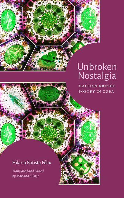 Kniha Unbroken Nostalgia Mariana F Past
