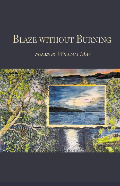 Kniha Blaze without Burning 