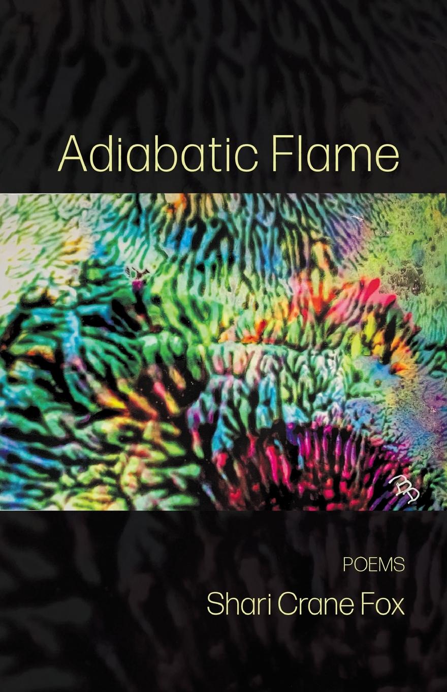Kniha Adiabatic Flame 