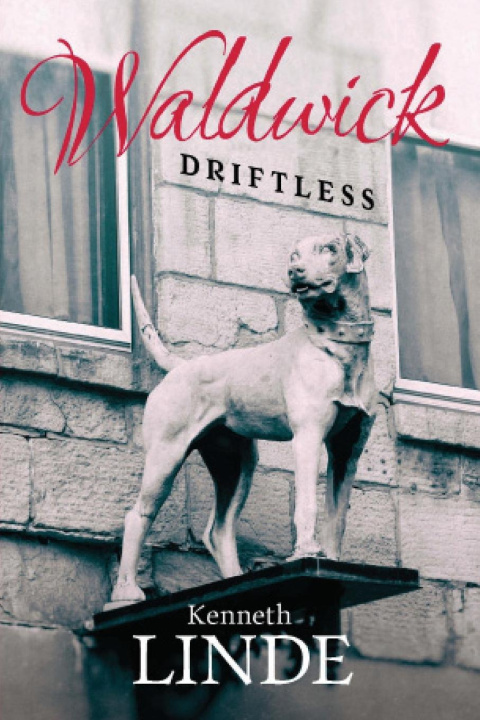 Kniha Driftless 