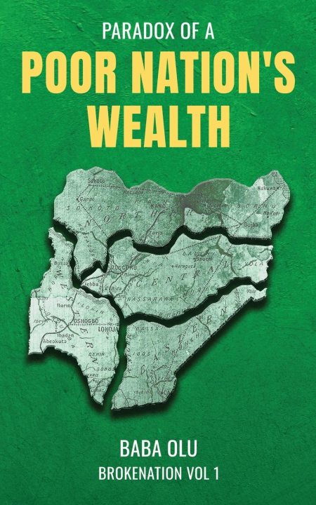 Knjiga Broke Nation 