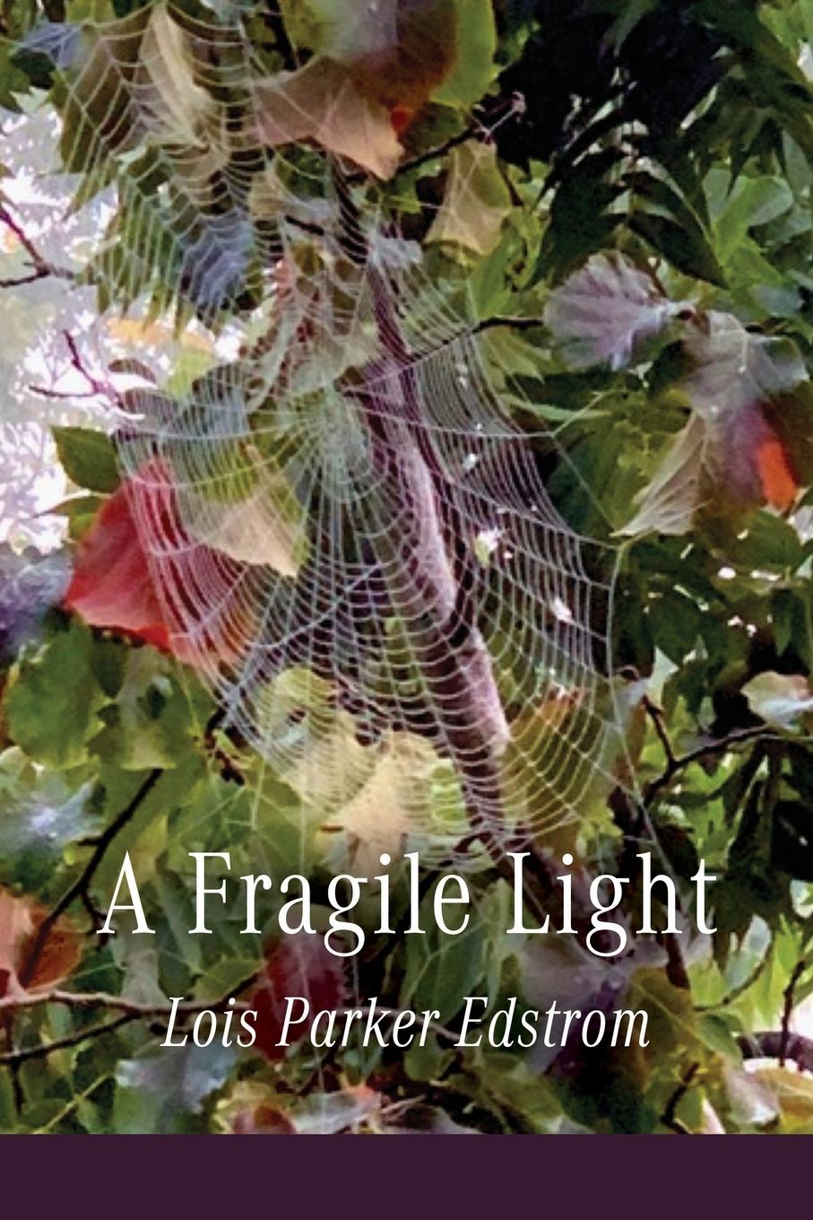 Kniha A Fragile Light 