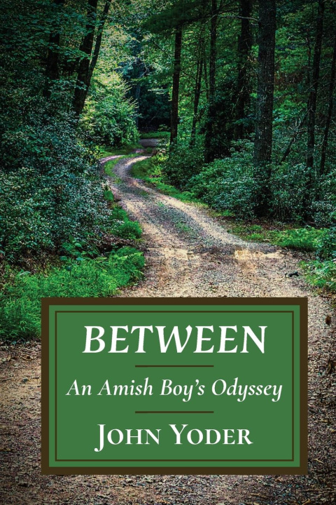 Knjiga Between Avery Yoder-Wells