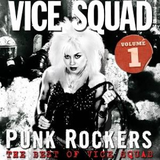 Audio Punk Rockers Vice Squad