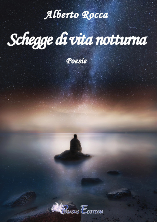 Kniha Schegge di vita notturna Alberto Rocca