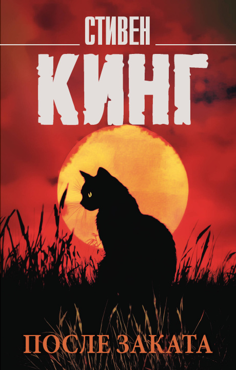 Kniha После заката Стивен Кинг