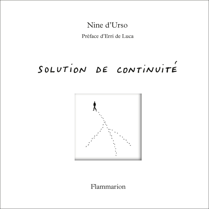 Kniha Solutions de continuité d'Urso