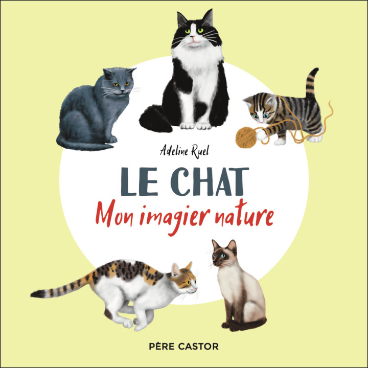 Kniha Le chat Ruel