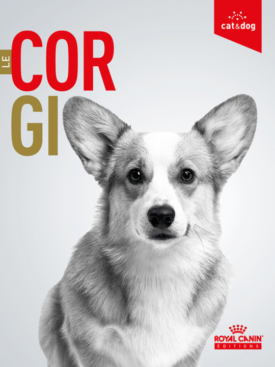 Kniha Le Corgi Fabienne Dethioux