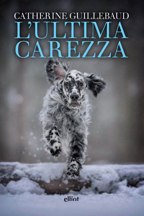 Kniha ultima carezza Catherine Guillebaud