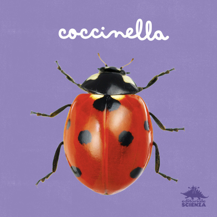 Boek Coccinella Micol Doria