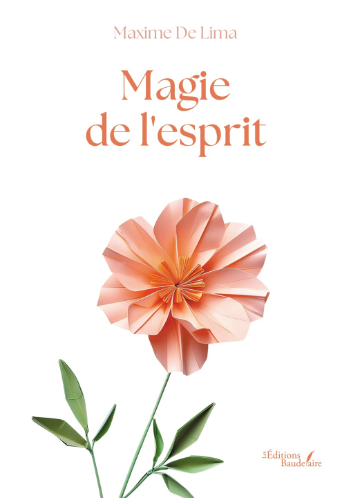Kniha Magie de l'esprit Maxime DE LIMA