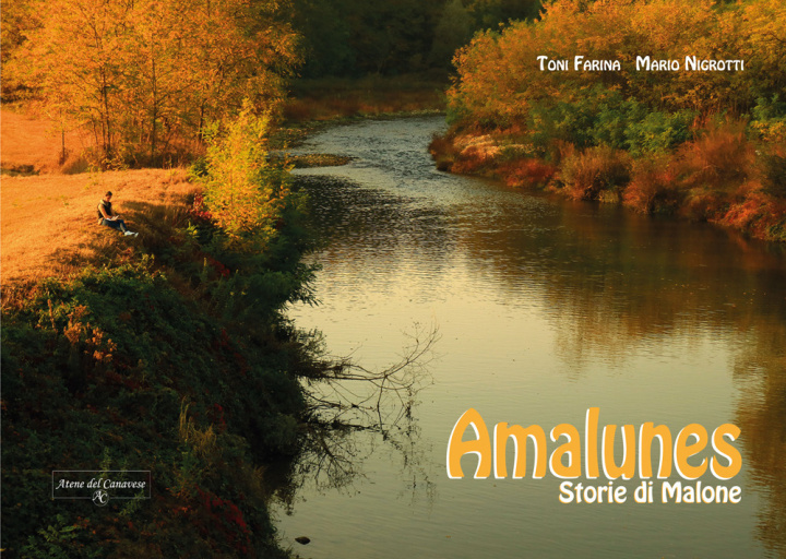 Kniha Amalunes. Storie di Malone Toni Farina