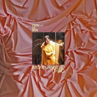Audio Michelangelo Dying Cate Le Bon