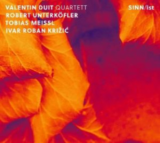Audio SINN/ist Valentin Duit Quartett