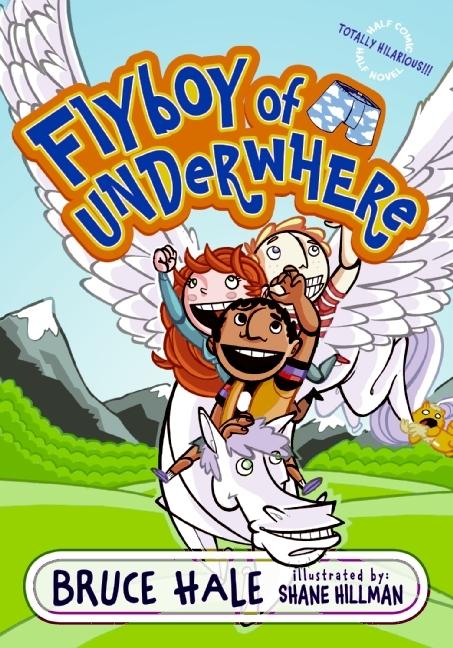 Buch Flyboy of Underwhere Shane Hillman