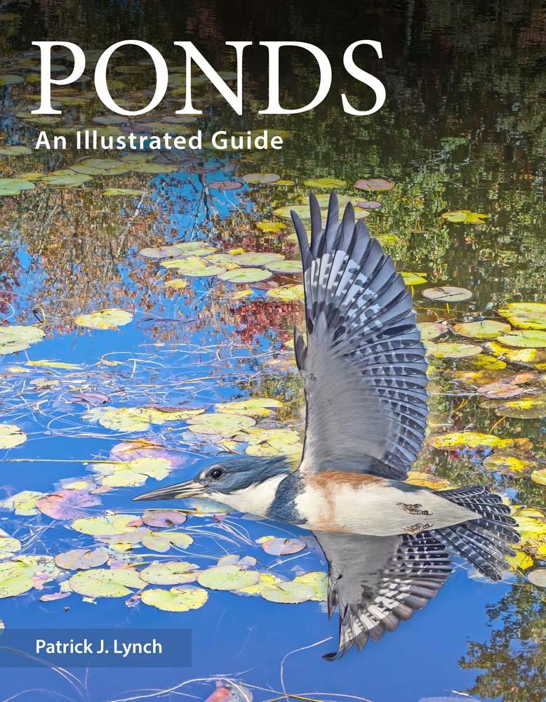 Kniha Ponds Patrick J. Lynch