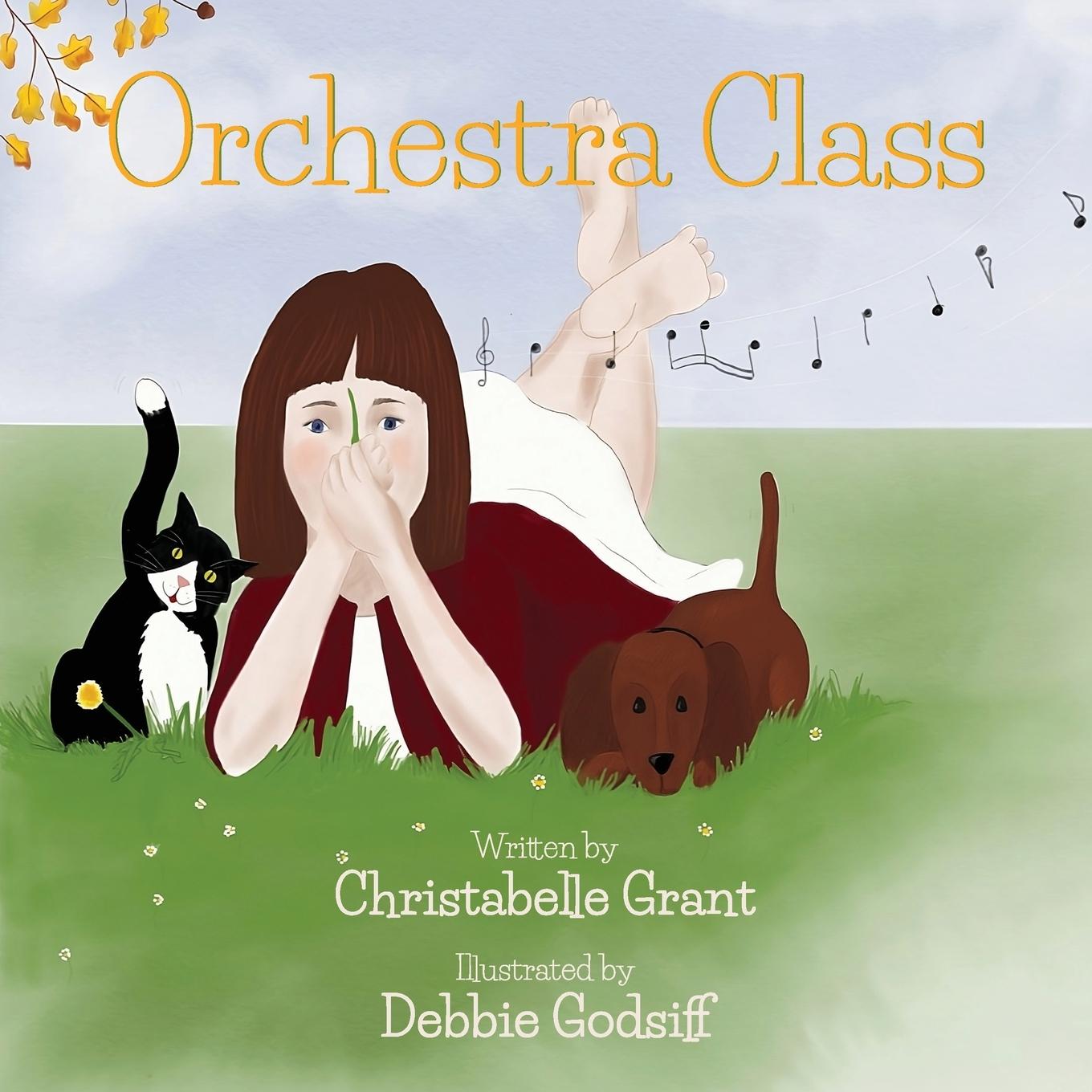 Kniha Orchestra Class Debbie Godsiff