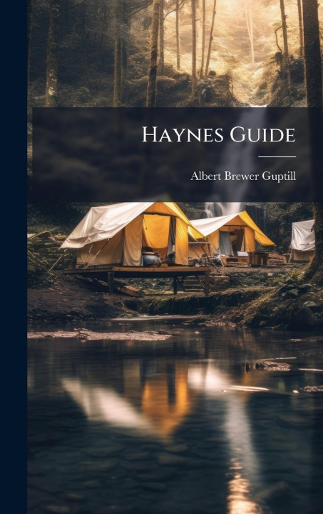 Kniha Haynes Guide 