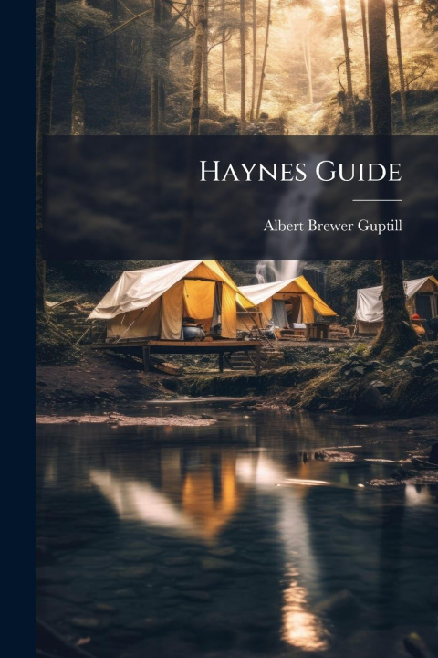 Kniha Haynes Guide 