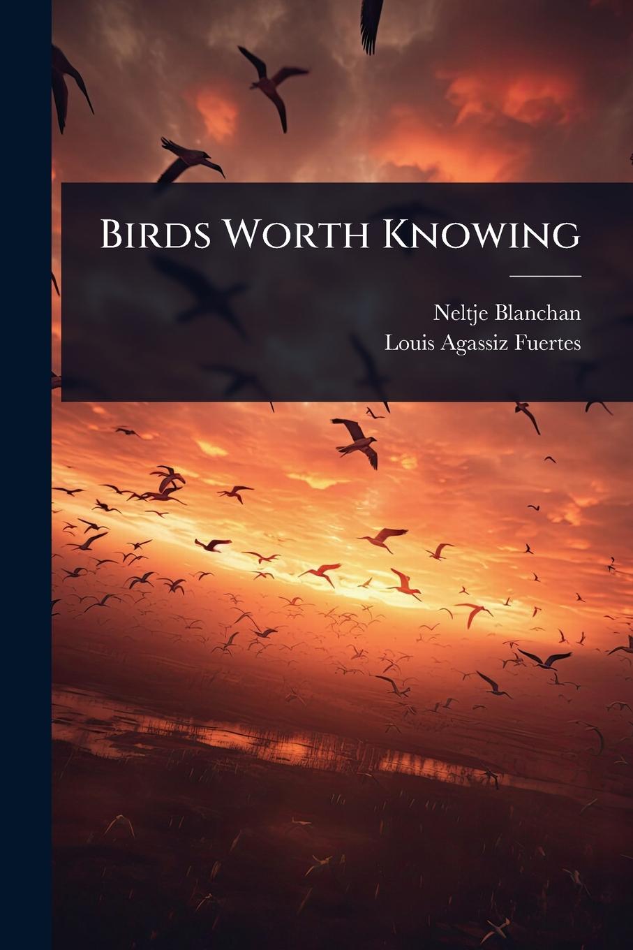 Knjiga Birds Worth Knowing Louis Agassiz Fuertes
