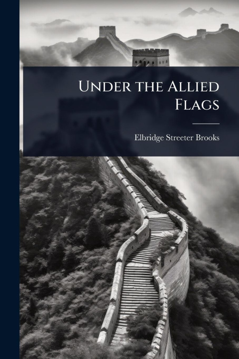 Kniha Under the Allied Flags 