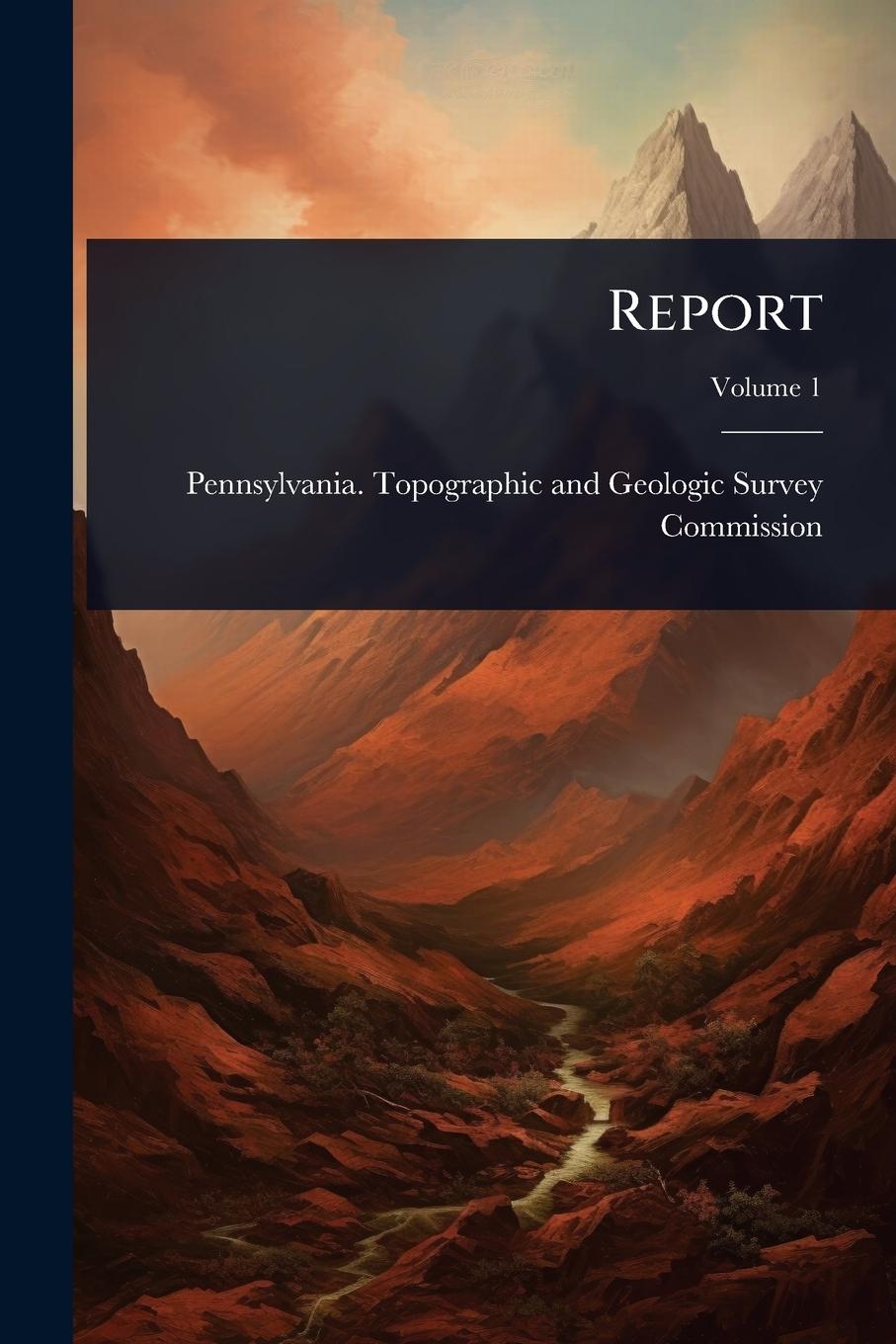 Kniha Report 