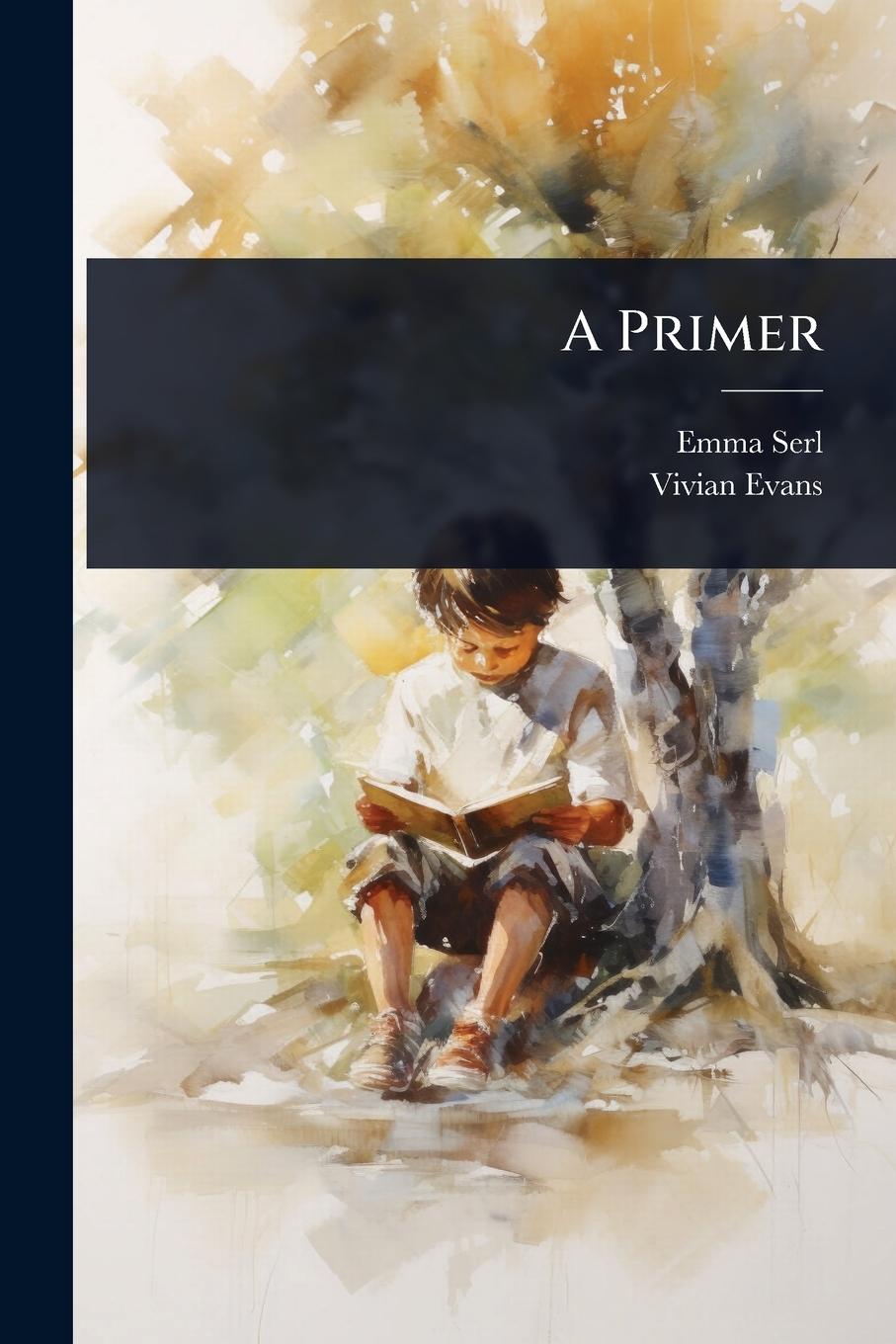 Kniha A Primer Vivian Evans