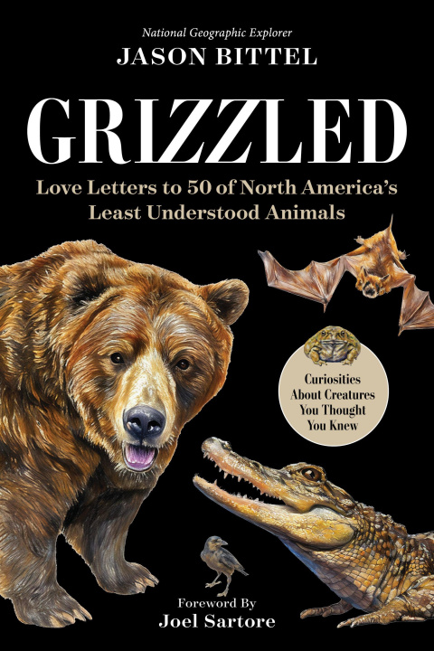 Kniha Grizzled BITTEL JASON