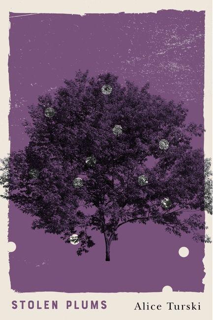 Knjiga Stolen Plums Turski