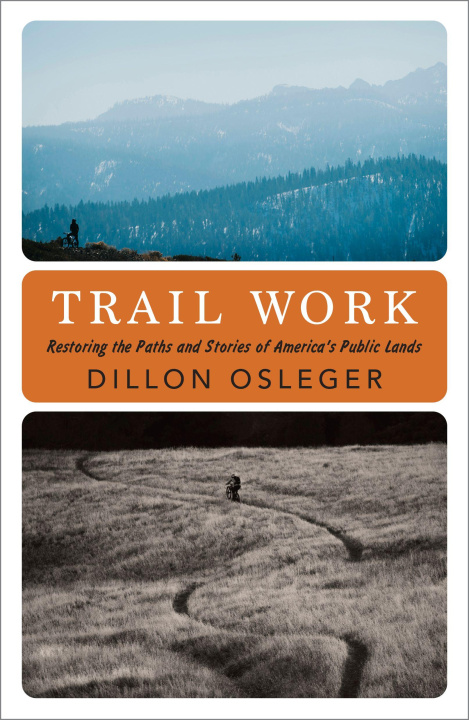 Buch Erasure Dillon Osleger