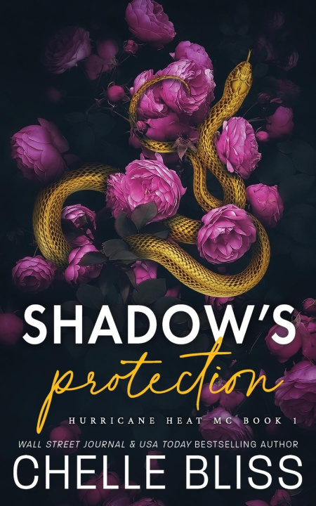 Kniha Shadow's Protection Chelle Bliss