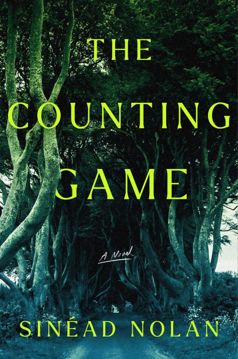 Kniha The Counting Game NOLAN SINEAD