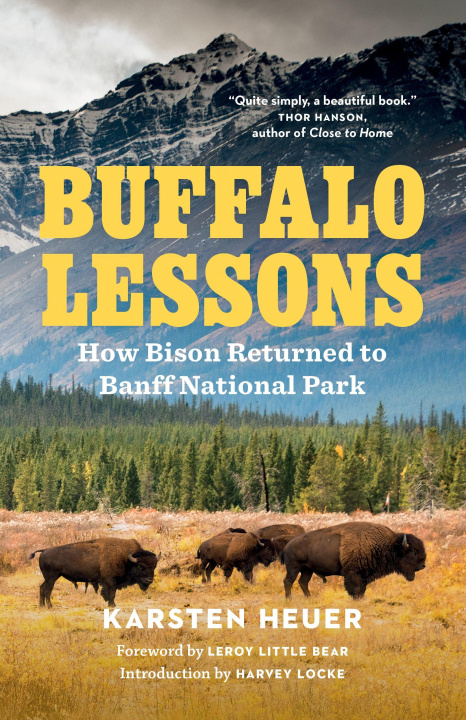 Kniha Buffalo Lessons Karsten Heuer