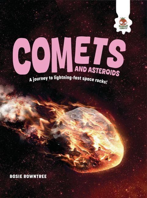 Kniha Comets and Asteroids 