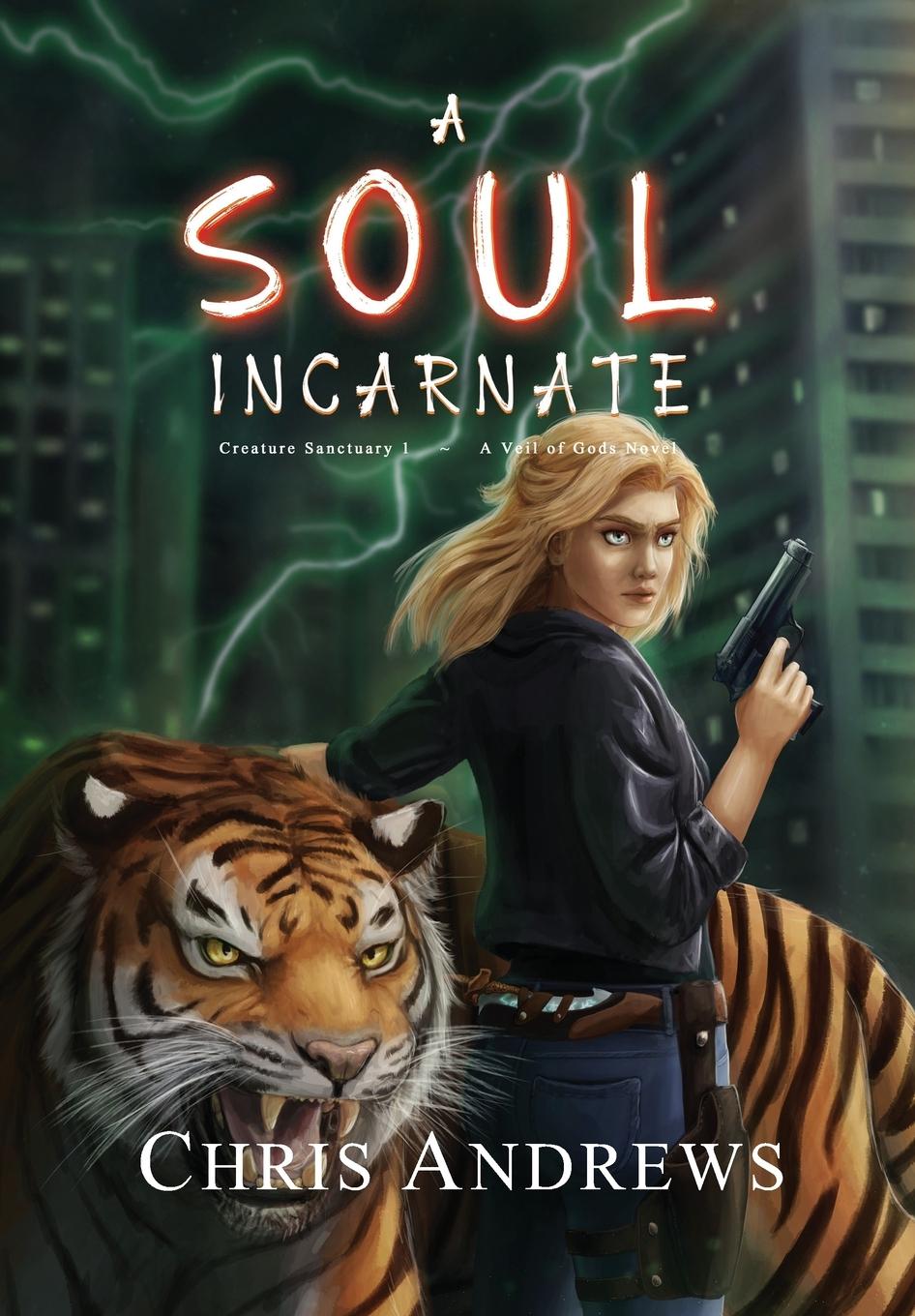 Buch A Soul Incarnate 