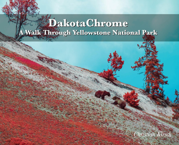 Knjiga DakotaChrome 