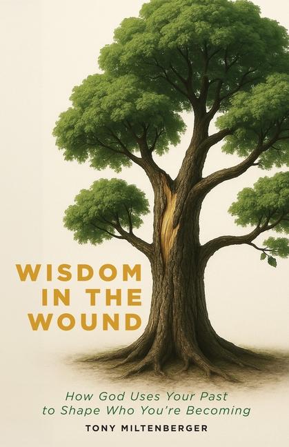 Kniha Wisdom in the Wound 