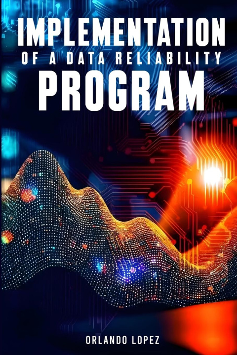 Kniha Implementation of a Data Reliability Program 